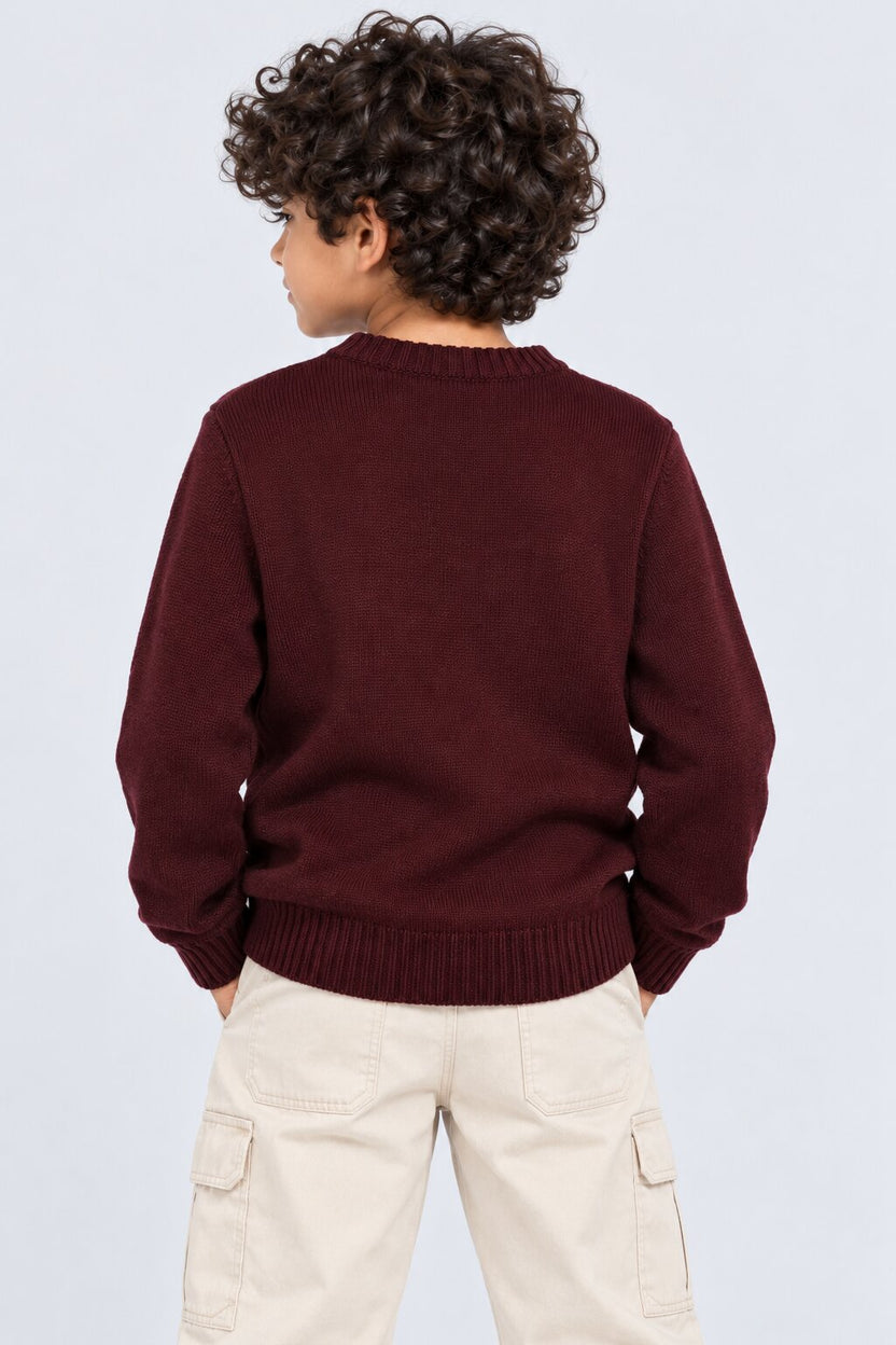 Tweens Boys Wine Cotton Regular Fit Sweater - Image 3