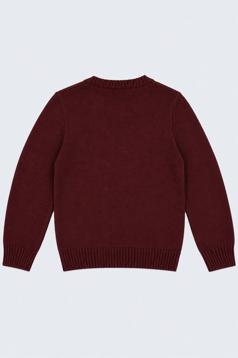 Tweens Boys Wine Cotton Regular Fit Sweater - Image 4