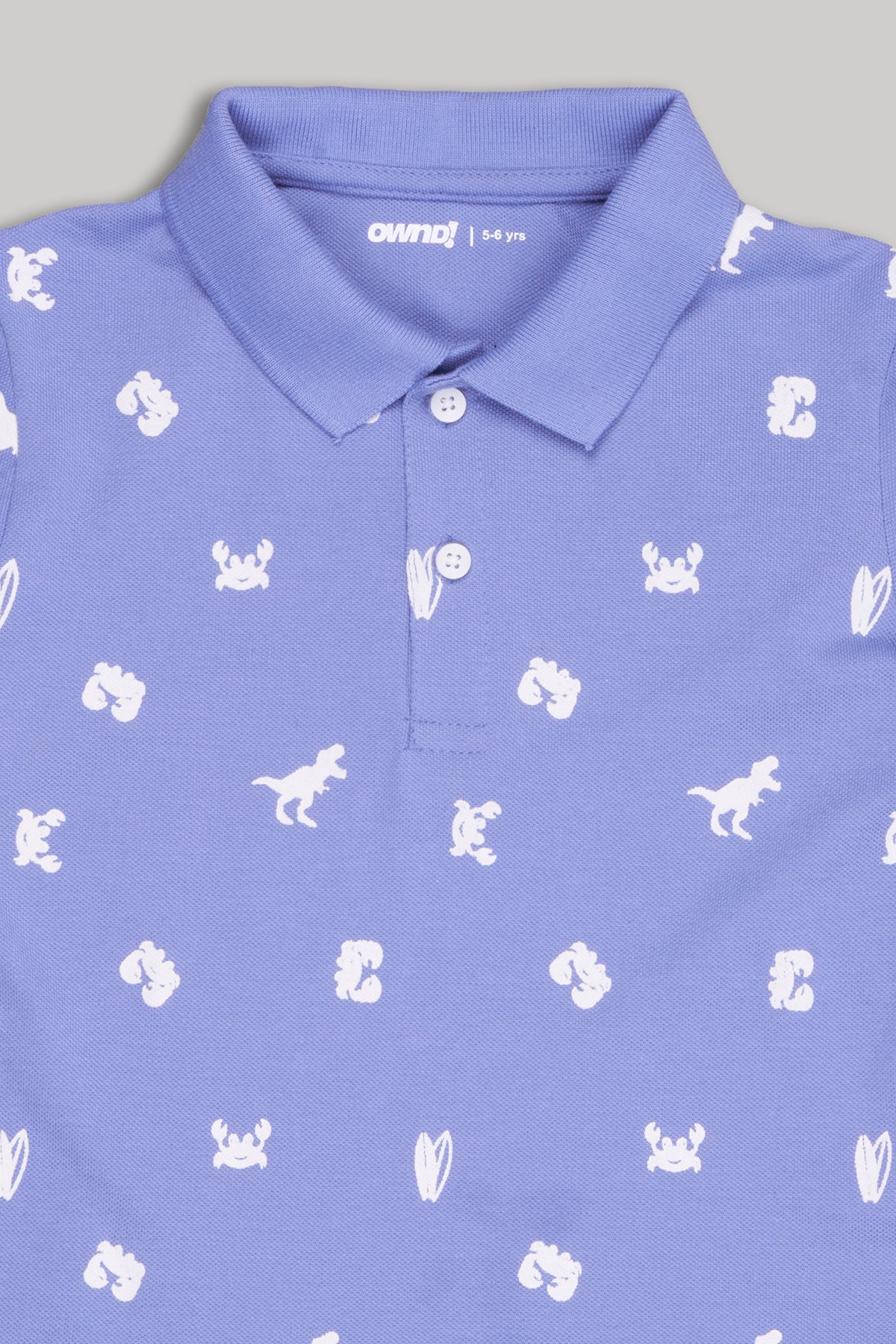 Blue Dinosaur Printed Regular Fit T-Shirt for Boys - Image 3