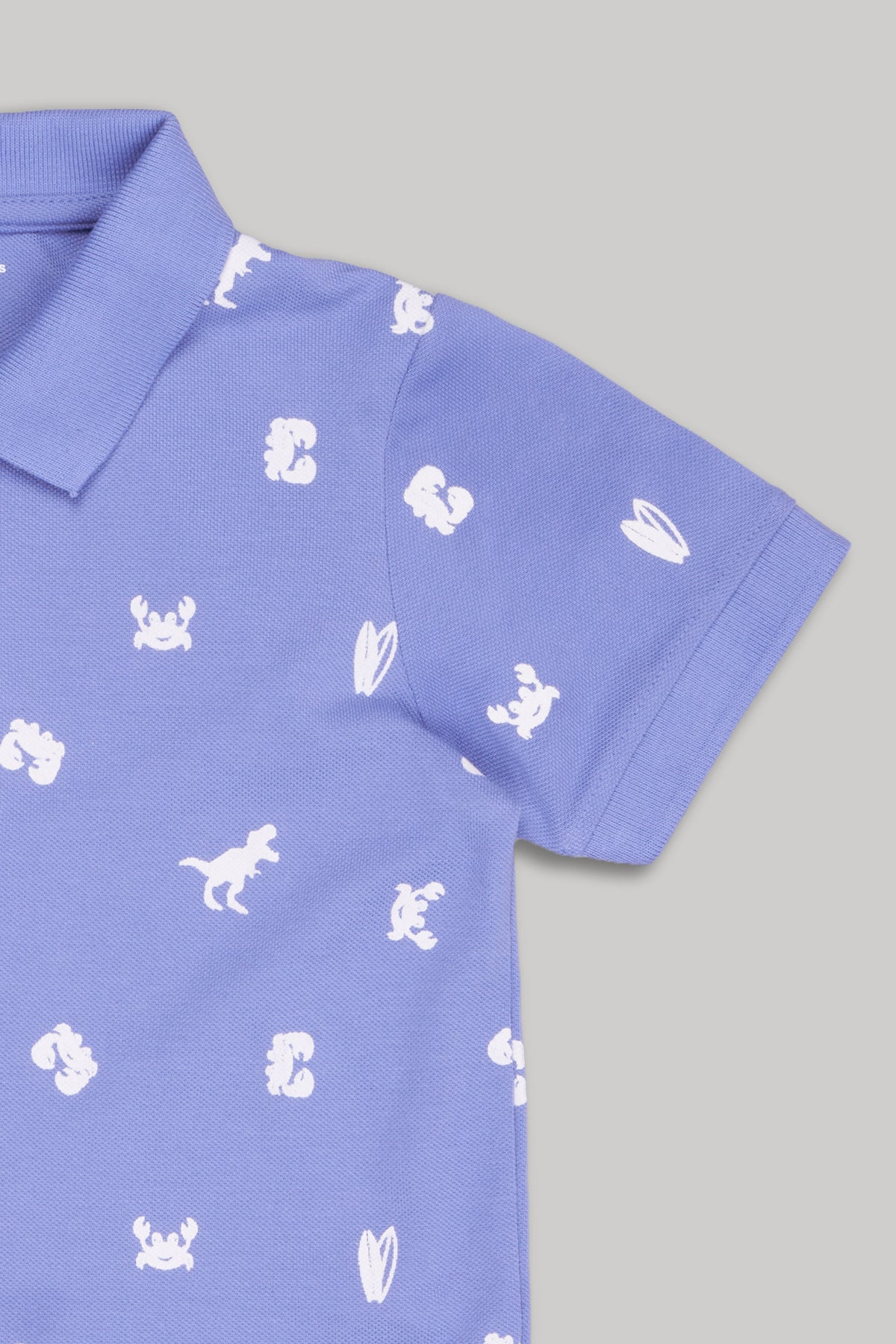 Blue Dinosaur Printed Regular Fit T-Shirt for Boys - Image 4