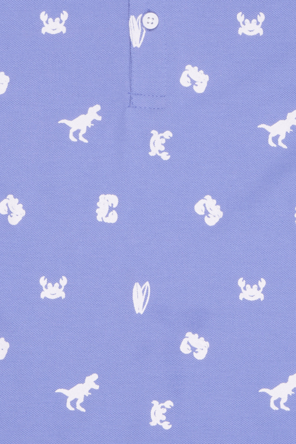 Blue Dinosaur Printed Regular Fit T-Shirt for Boys - Image 5