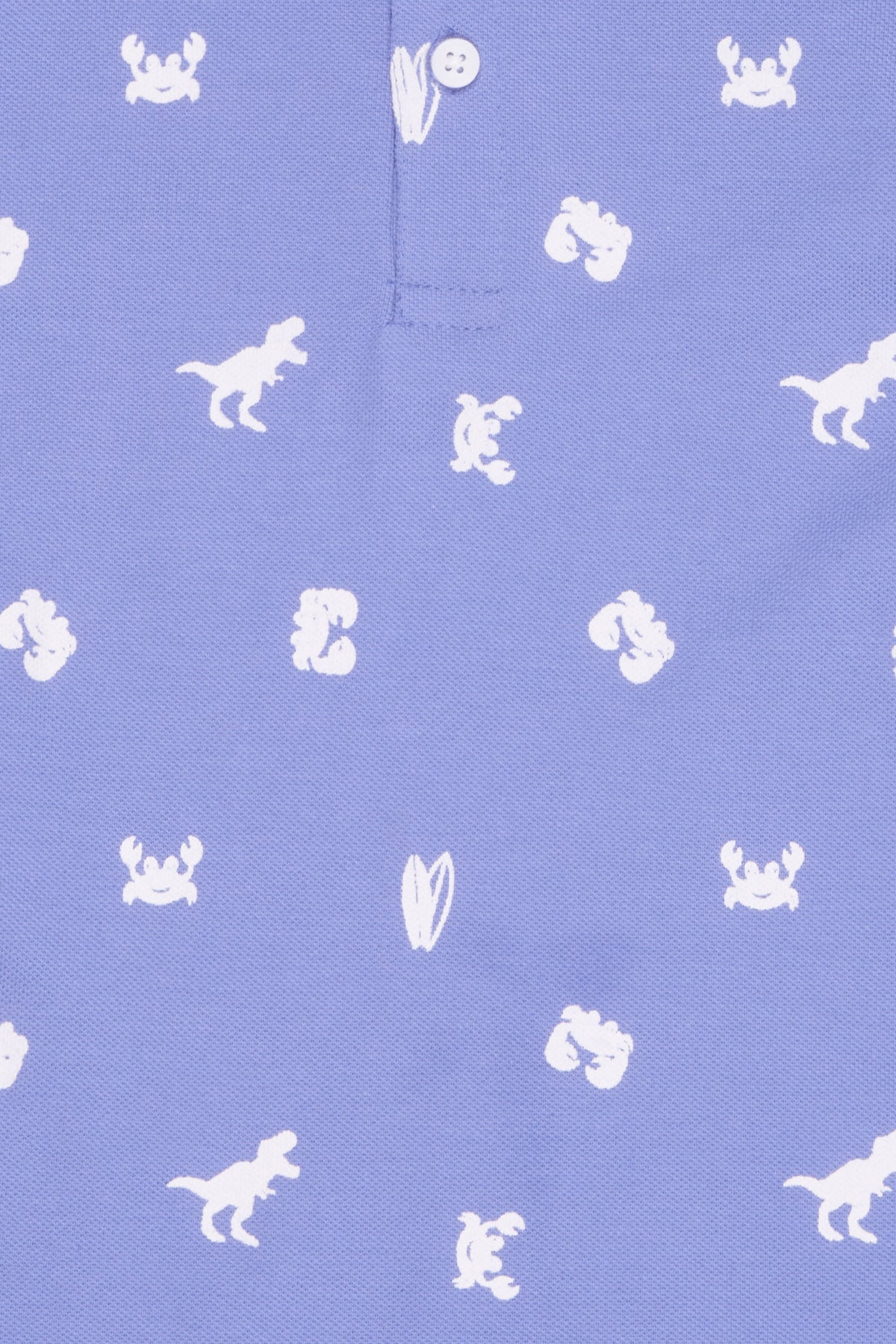 Blue Dinosaur Printed Regular Fit T-Shirt for Boys - Image 5