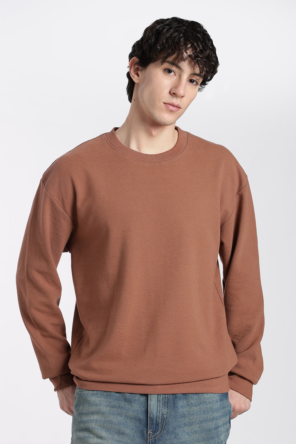 Brown Solid Regular Fit Sweatshirt for Men - Image 2
