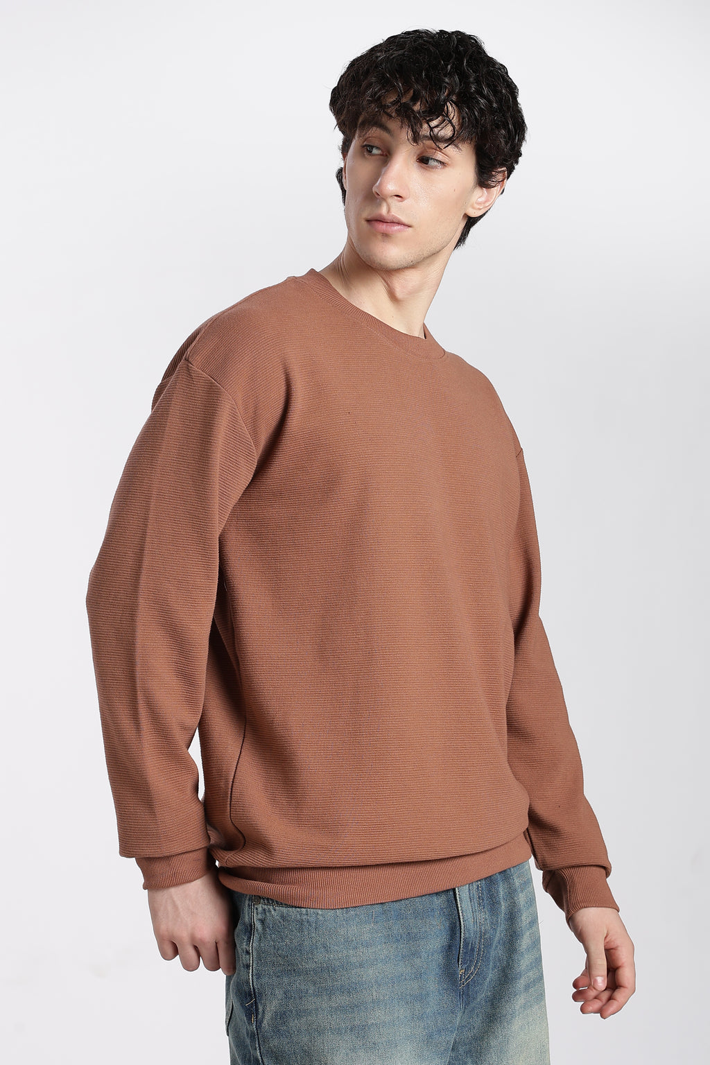 Brown Solid Regular Fit Sweatshirt for Men - Image 4