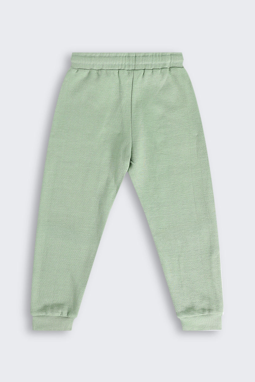 Olive Regular Fit Jogger With 2 Pocket for Boys - Image 3